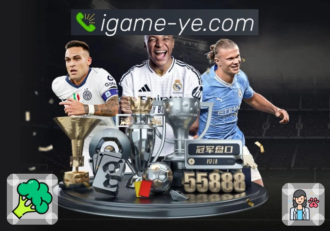 爱游戏服务体系